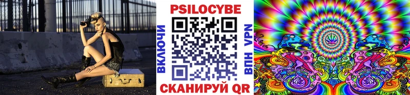 Псилоцибиновые грибы Psilocybe купить закладку Боготол