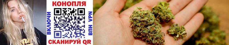Бошки Шишки OG Kush  цена наркотик  Боготол 